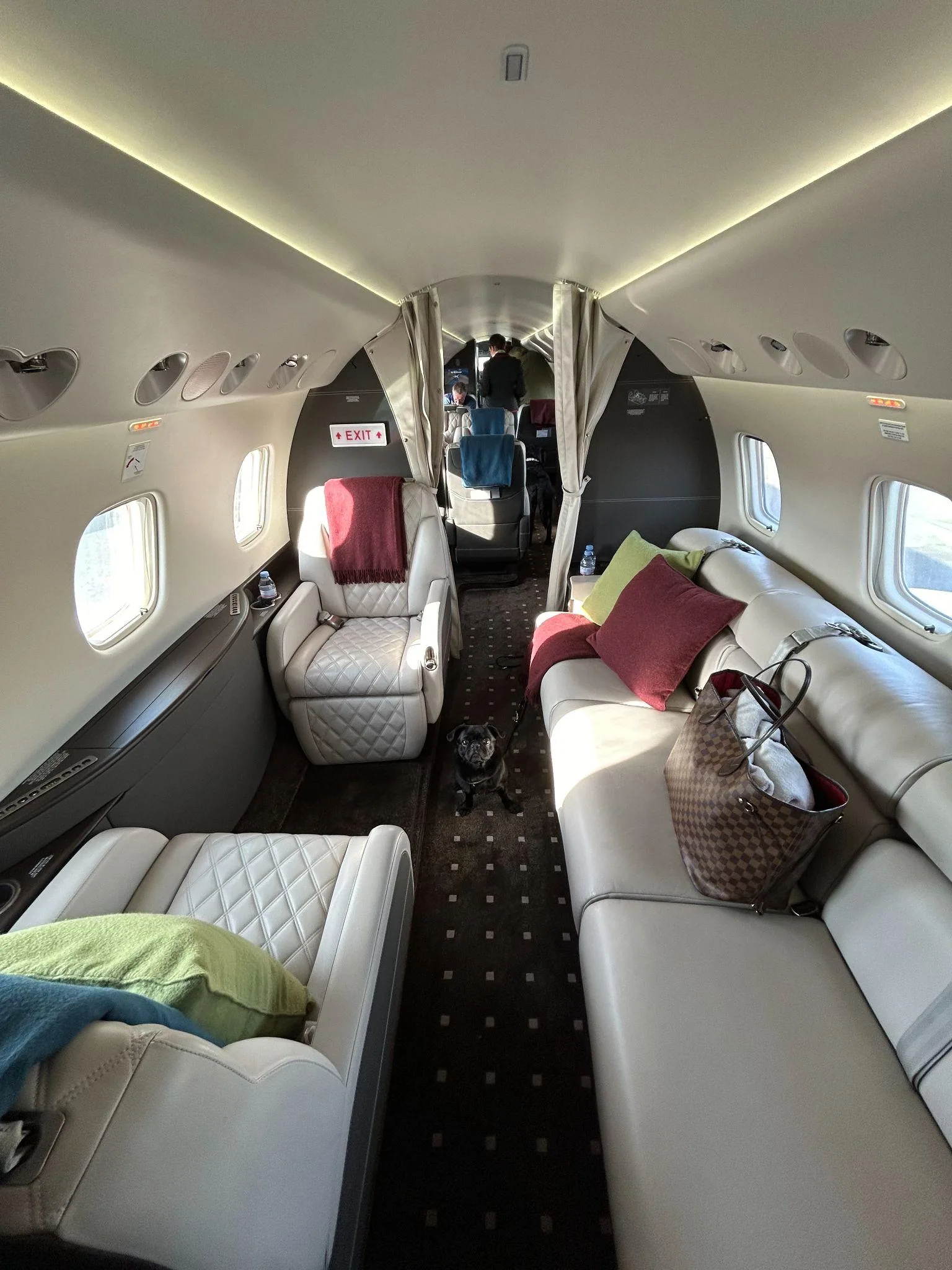 Blick durch die Kabine des Privatjets mit hellen Ledersesseln, Kissen, Decken und einem Mops im Gang